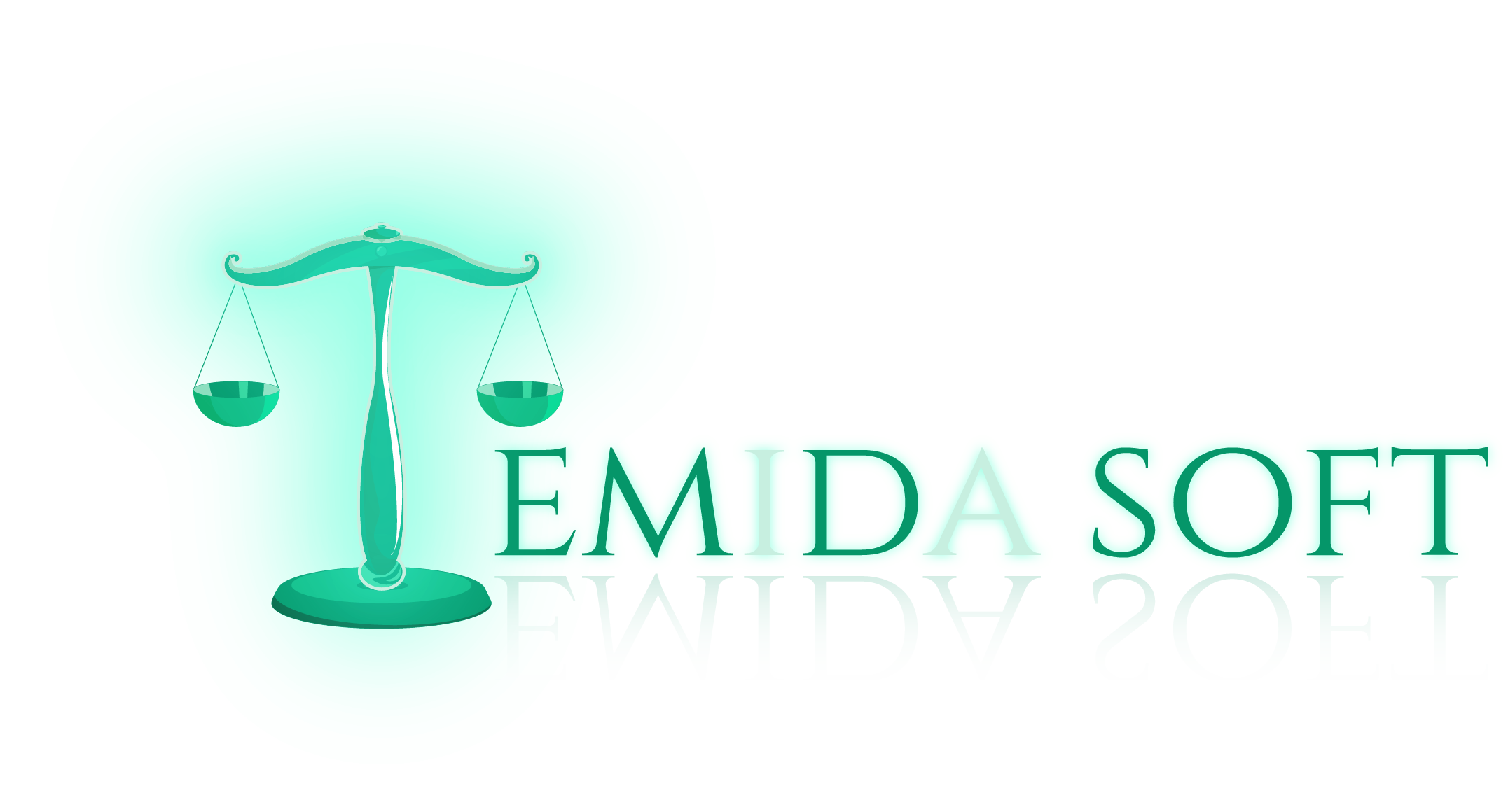 TemidaSoft Logo